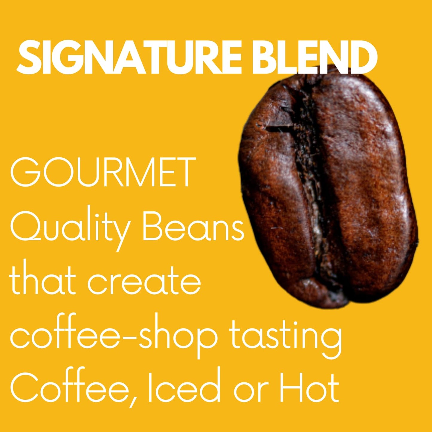 Sarasota Coffee Whole Bean Signature House Breakfast Blend | Medium Roast Gourmet Coffee Beans | Low Acid, Mold Free, Specialty