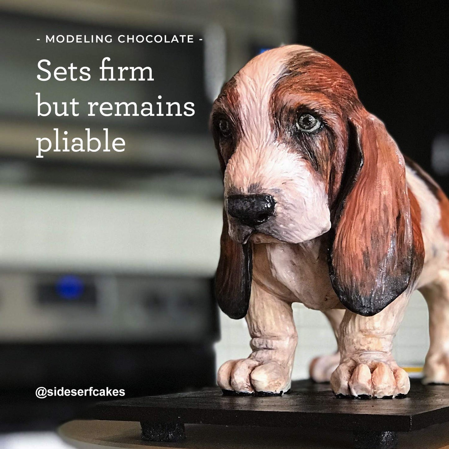 Satin Ice Chocopan Deep Brown Modeling Chocolate, 1 Pound