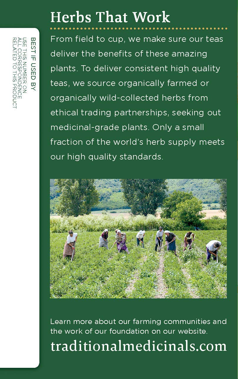 Traditional Medicinals Tea,Og2,Turm W/Mdwswt&Gn 16 Count (Pack Of 6)