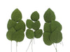 Global Sugar Art Hydrangea Leaves Sugar Cake Flowers Green Mix of Large Medium and Small, 15 Count by Chef Alan Tetreault