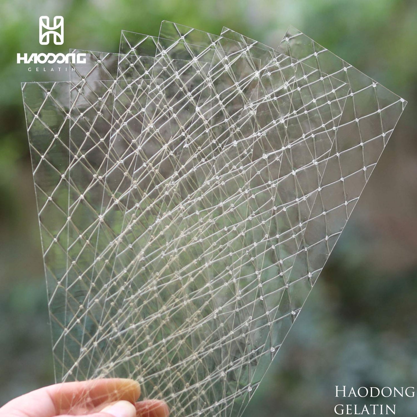 Haodong Silver Gelatin Sheets - 180 Bloom Beef Leaf Gelatin For Baking And Cooking, Desserts (9-10 Sheets, 25G)