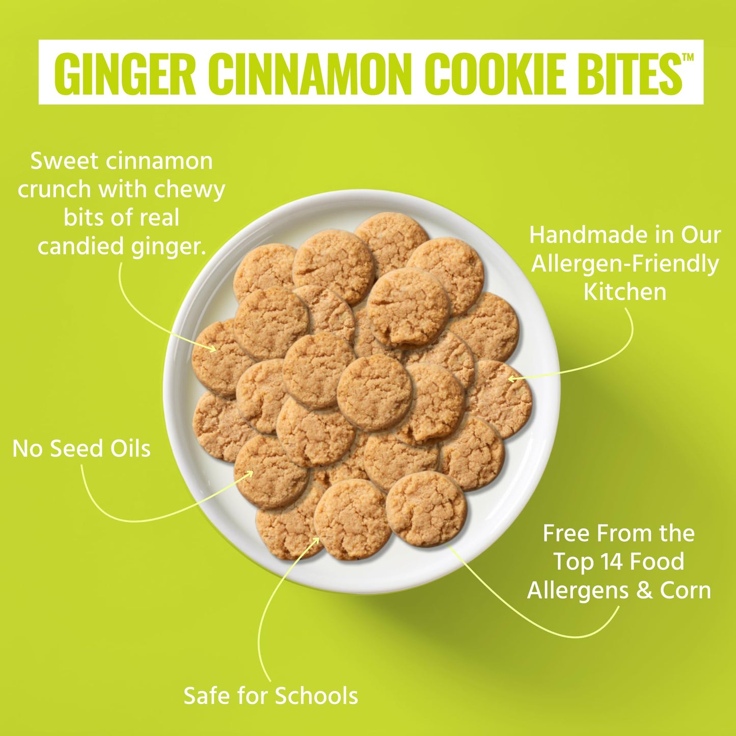 Every Body Eat Crunchy Cookie Bites, Gluten & Dairy Free, Vegan, School Safe Lunch Snacks, Single Serve (Pack Of 20) (Ginger Cin