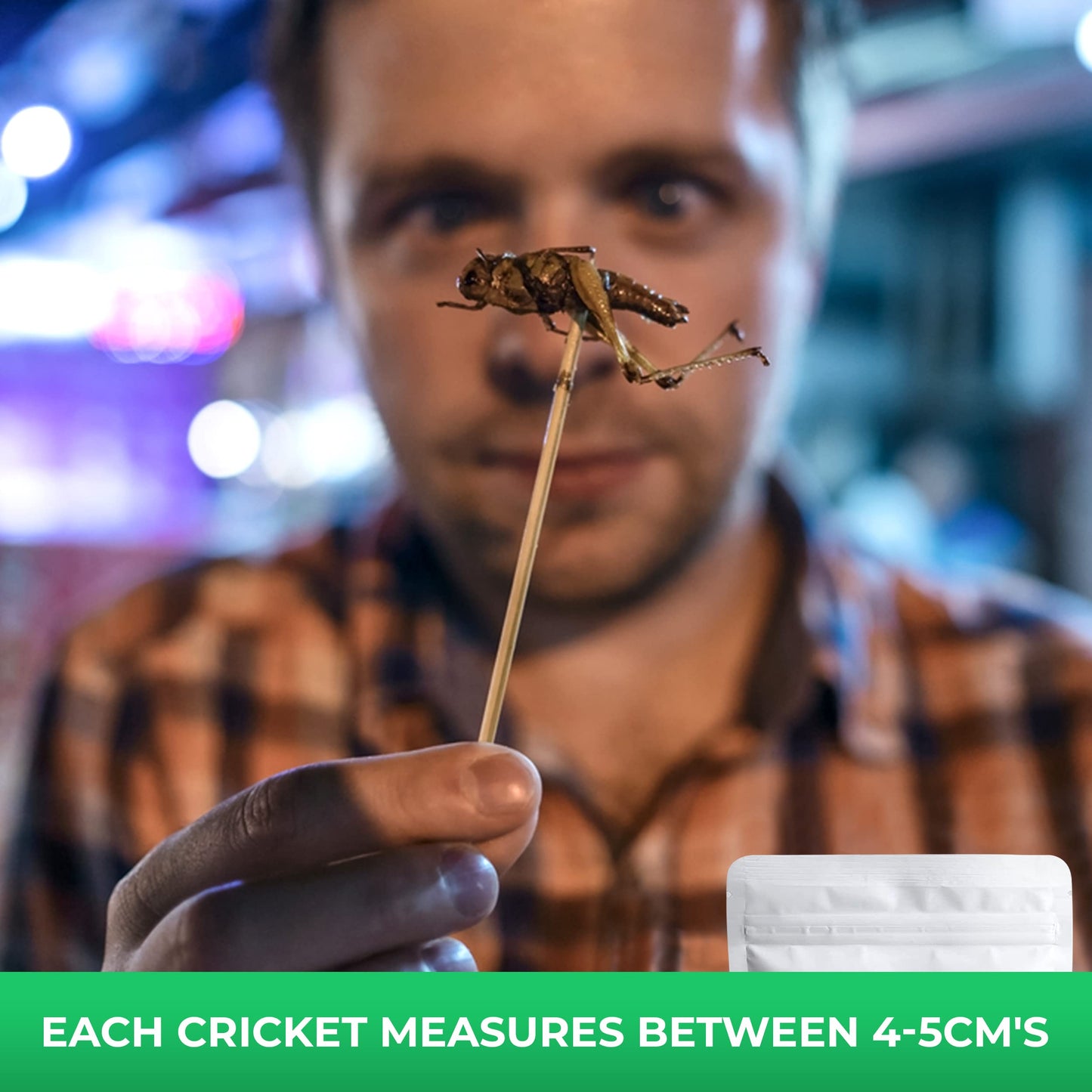 Ecoeat Edible Insects Giant Crickets - 15G Bag - Edible Snack Gift