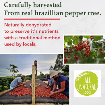 All Goods 4Oz Pink Peppercorns From Malabar For Grinder Refill - Whole Pink Pepper Bulk, Fresh Peppers, Pimienta Negra Entera