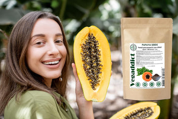 100% Natural Sun Dried Papaya Seeds | High Papaya Enzyme (Papain) Content | No Additives | Vegan | Laboratory Tested | Gluten &