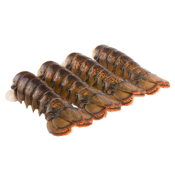 Today Gourmet Foods of NC Maine Lobster Tails (8oz-10oz) (12 Tails)
