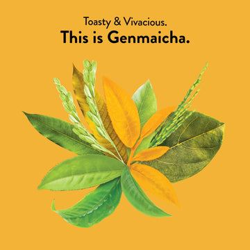 Choice Organics - Organic Genmaicha Tea (6 Pack) - Green Tea With Toasted Brown Rice - Compostable - 96 Organic Green Tea Bags