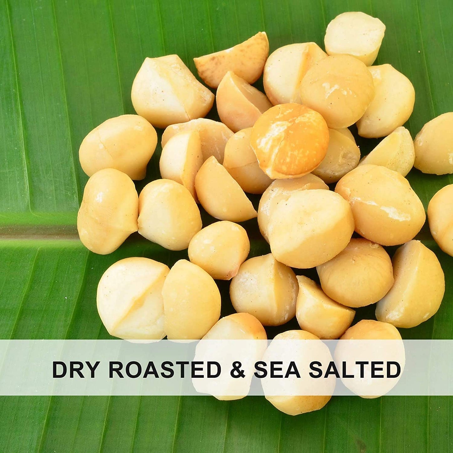 Fruidles Roasted & Salted Macadamia Raw Nuts, Natural Non-Gmo, Gluten-Free, Healthy Fat, Emergency Food, Survival Food, Half-Pou