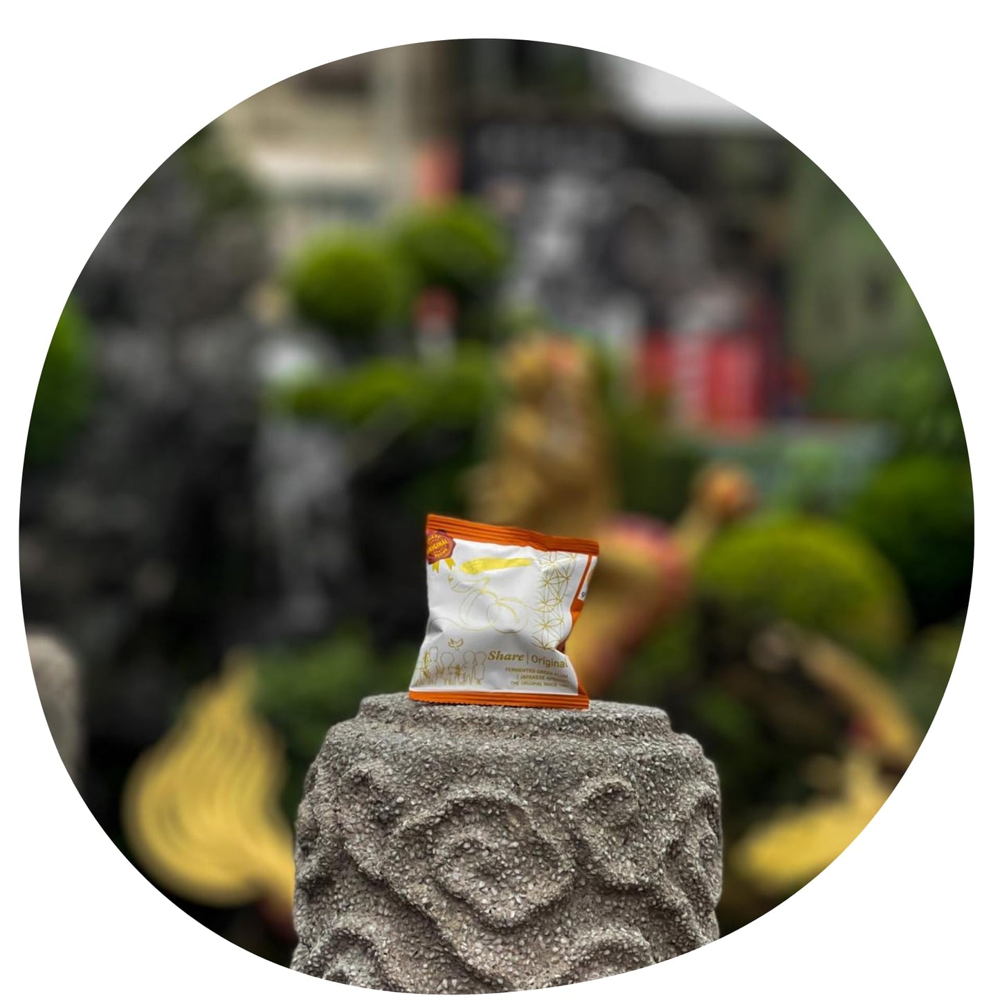 Share Original® Cultured Fermented Japanese Apricot/Plum (3-Pc) - 30+ Months Aged, Includes Description, Swiss Fermented