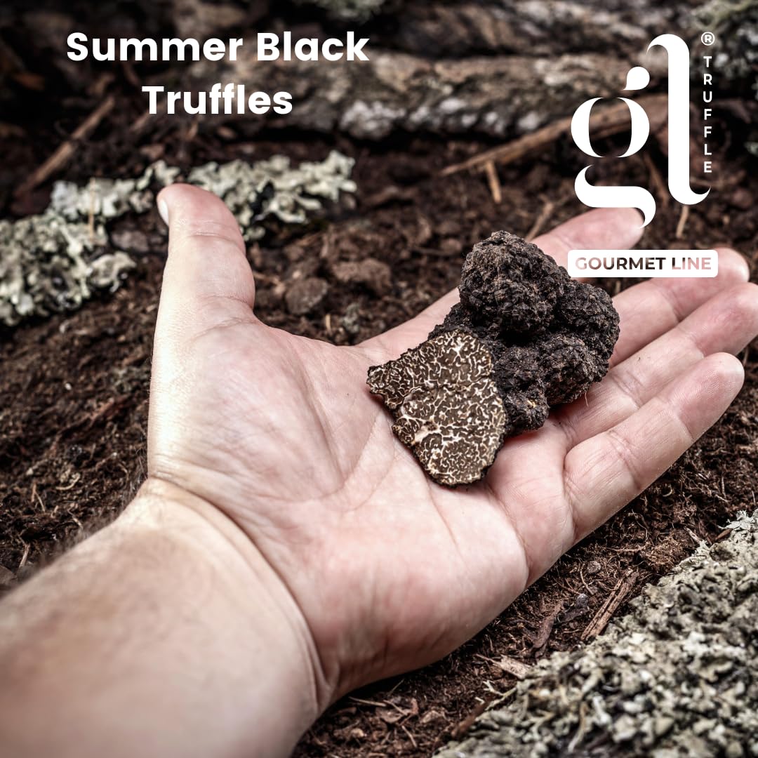 Gl Truffle Gourmet Line Whole Black Summer Truffle, 35 Gm (1.2 Oz) Preserved Truffles, Premium Selected Quality, Product Of Ital