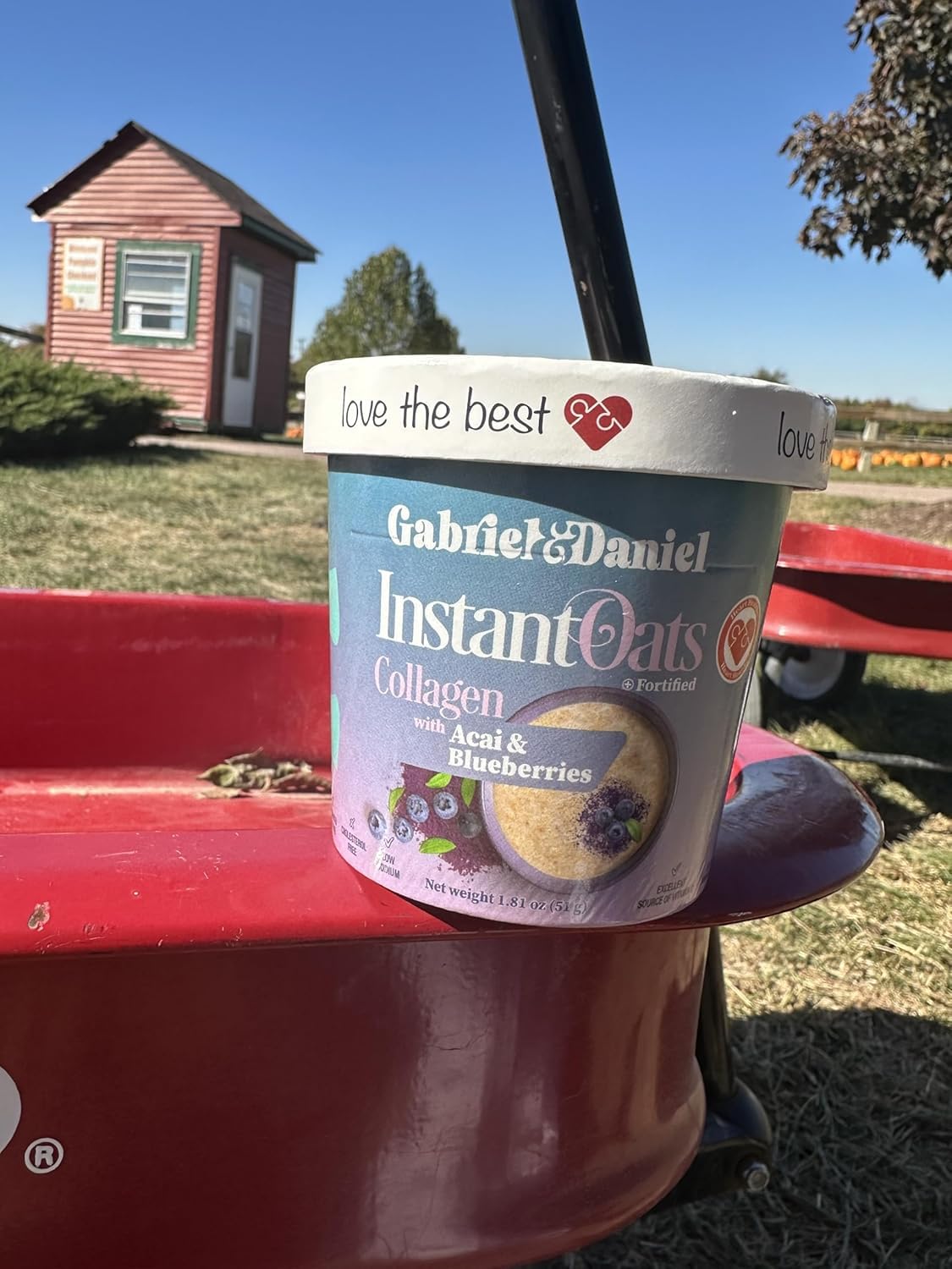 Gabriel & Daniel Hot Cereal & Organic Instant Oatmeal Variety Pack - Non-GMO, Gluten Free, 12 Breakfast Cups