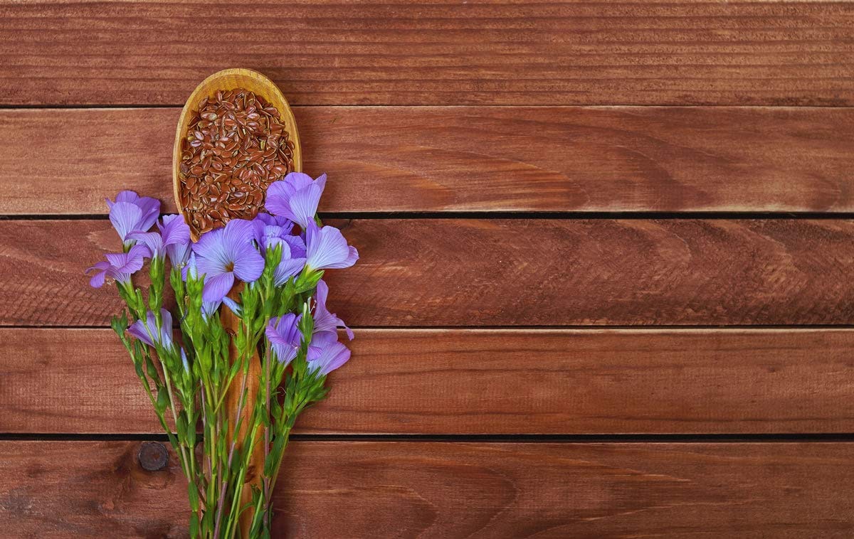 Food to Live Organic Brown Flax Seeds, Non-GMO, Vegan, 2.5 Pounds