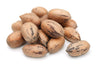Anna and Sarah Premium Raw Fresh Pecans in Shell, 9 lbs, Pack of 1