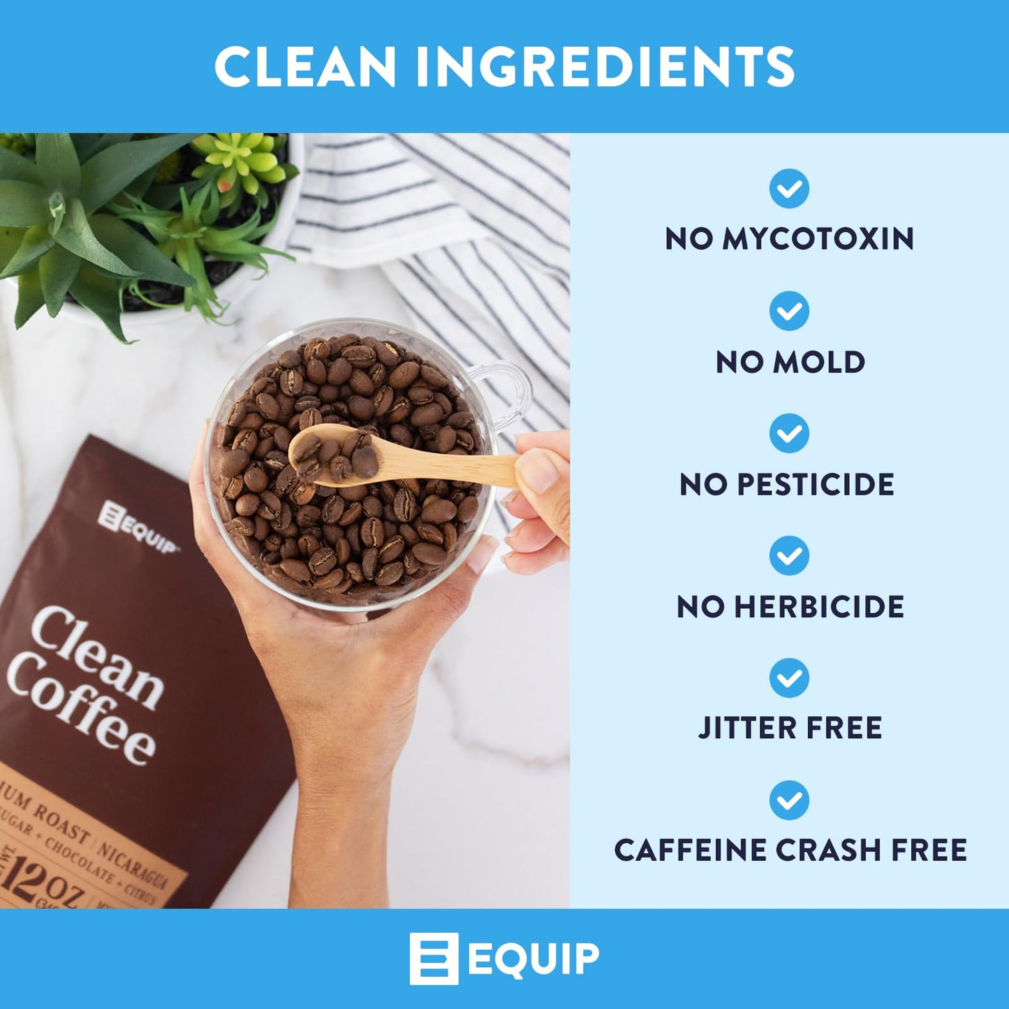 Equip Foods Clean Coffee | Gold Standard, Certified Organic, Fair Trade, Regenerative | Medium Roast, Whole Bean, Nicaragua | Br