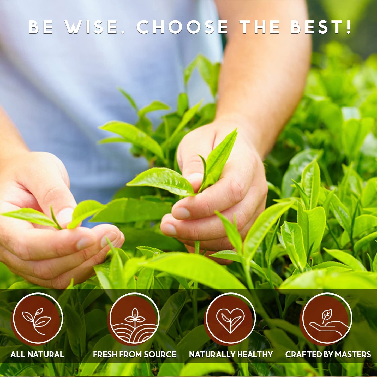 Organic Black Tea Pods For Keurig - Naturally Caffeinated Unsweetened Black Tea Pods By Teavity (36 Tea Pods)