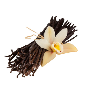 True Organic Vanilla Beans Whole, 10 Count, Premium Quality Extract Exclusive, Gluten Free, Usda & Kosher Certified, Non-Gmo Who