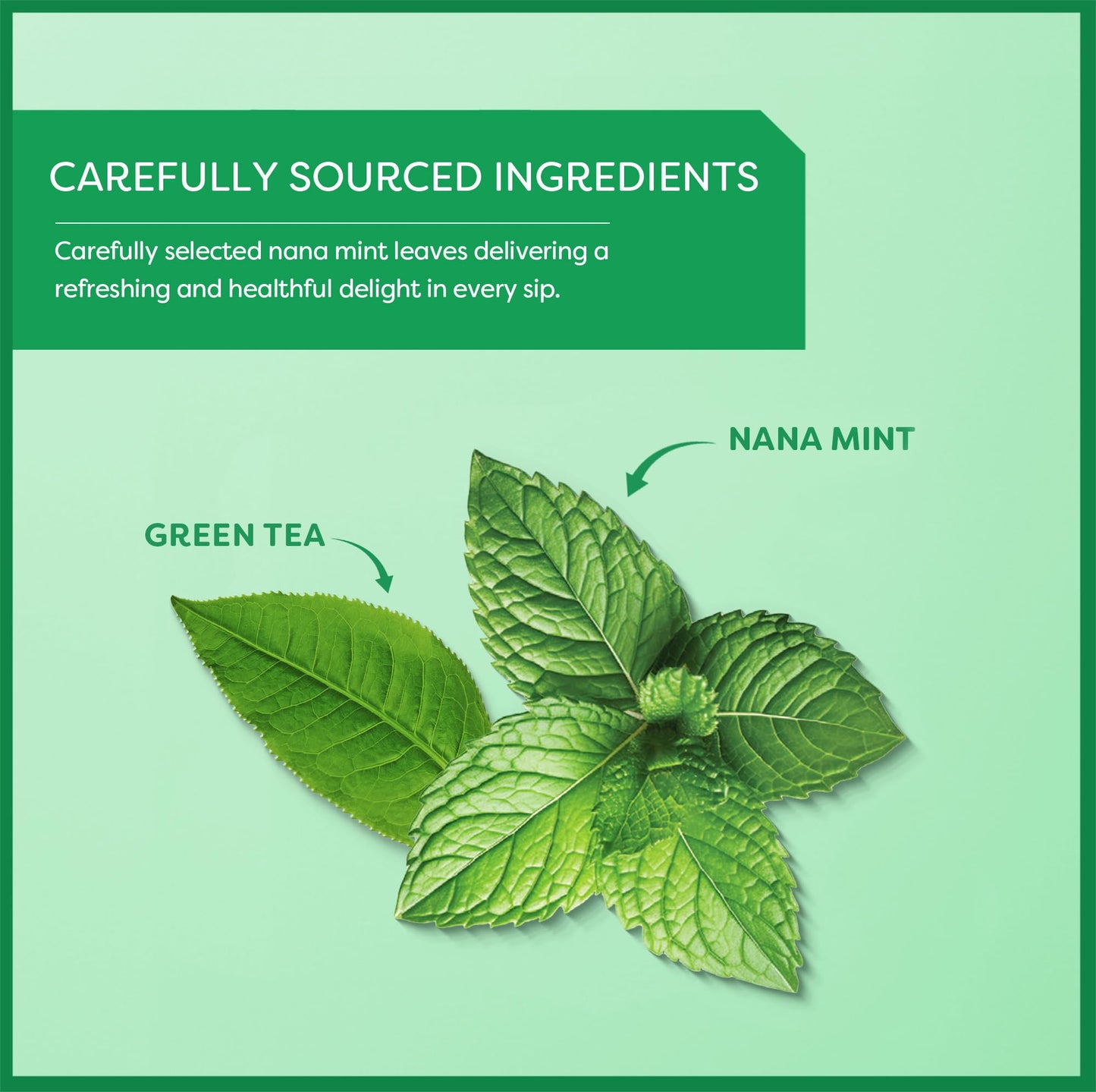 Wissotzky Nana Mint Green Tea (6 Pack - 120 Tea Bags) | Antioxidant Rich | Moroccan Mint Tea Bags | Revitalizing Nana Tea