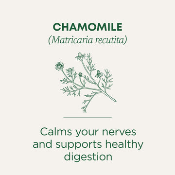 Traditional Medicinals Tea, Organic Chamomile, Calming, Calms Your Nerves, Supports Healthy Digestion, 96 Tea Bags (6 Pack)