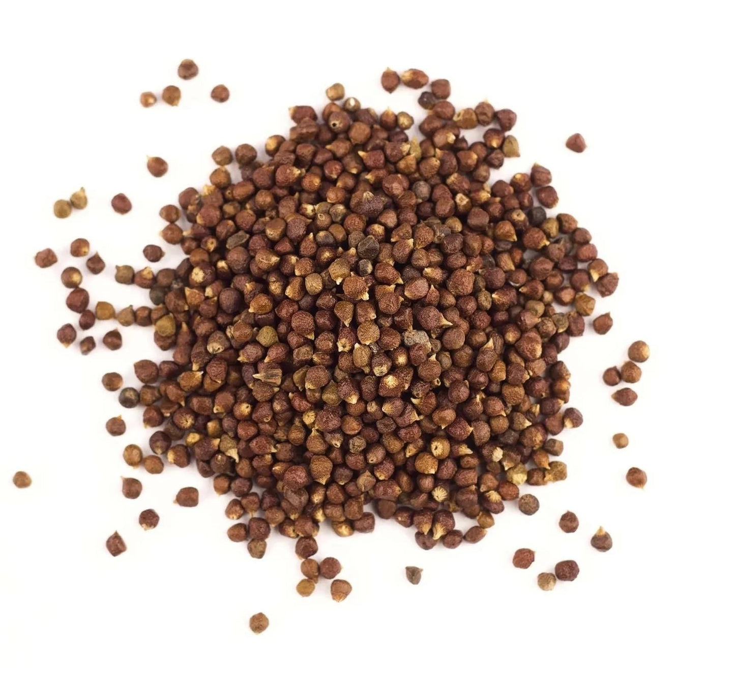 Spicy Yum! Grains Of Paradise - Whole Alligator Pepper (Atare, Guinea, Melegueta Pepper) (Whole (3 Oz. Glass Jar))