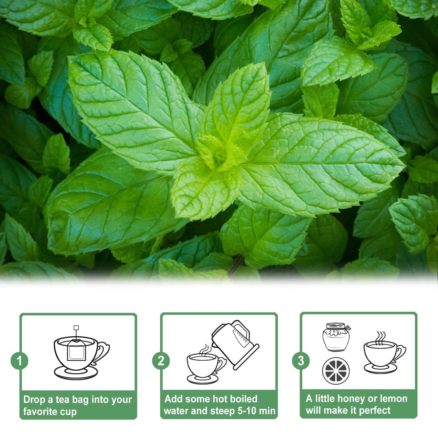 TEARELAE Spearmint Tea - 100% Pure Spearmint Leaves - Caffeine-free Herbal Tea - 50 Count