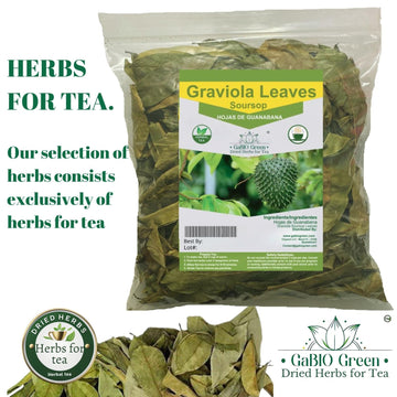 Gabio Green- Whole Soursop Leaves(3Oz/85Gr) 180 + Leaves Aprox, Big Bag, Hojas De Guanabana, Tea Soursop, Resealable Bag, Dried