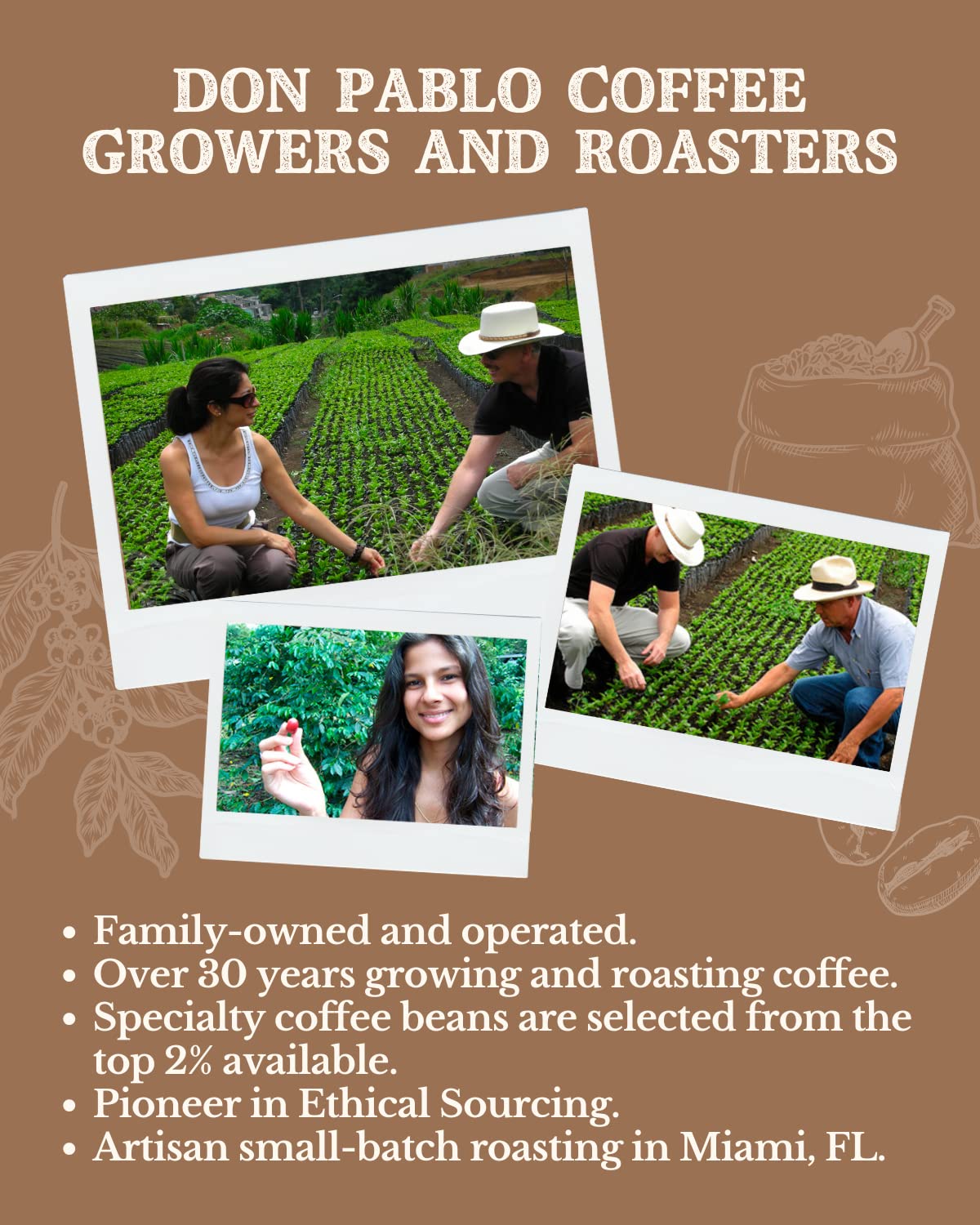 2Lb Subtle Earth Organic Coffee - Medium-Dark Roast - Whole Bean Coffee - 100% Arabica Beans - Low Acidity And Non-Gmo - 2Lb Bag