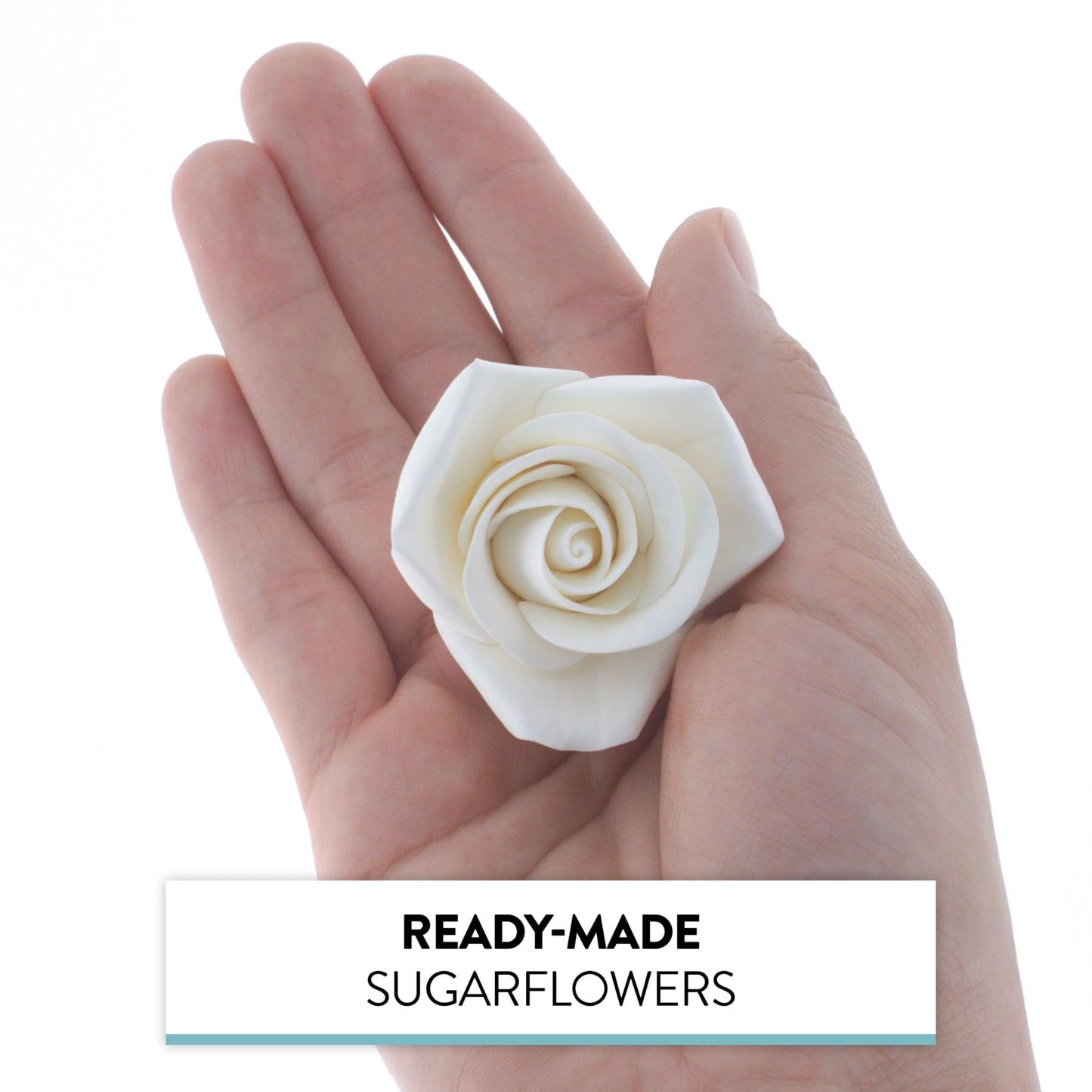 Global Sugar Art Peace Rose Sugar Cake Flowers - White, 2 Inch, 8 Count, Model 37823 by Chef Alan Tetreault