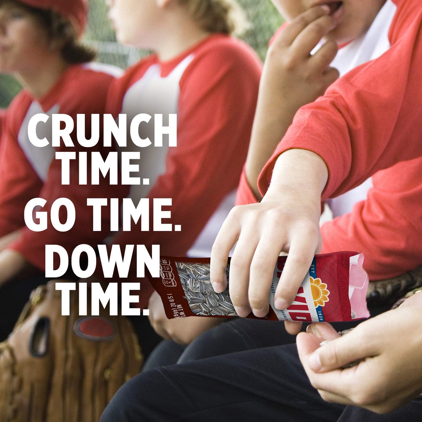 David Roasted And Salted Sunfower Seeds, Bar-B-Q Flavor, 1.625Oz. (Pack Of 12)