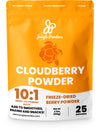 Jungle Powders Wild Cloudberry Powder for Smoothies Baking Jam 3.5 Ounce Bag Pure Nordic Freeze Dried Cloudberry Extract No Suga