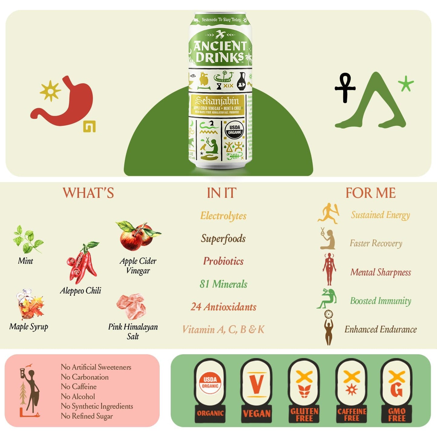 ANCIENT DRINKS Apple Cider Vinegar Beverage with Electrolytes & Probiotics, Mint & Chili, 16 fl oz, Pack of 12 Cans