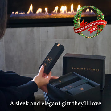 iLOLA Tea Disc Set | Organic Loose Leaf Probiotic Tea | Stainless Steel Infuser | Gift Box Set