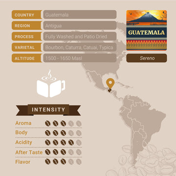 Guatemalan Coffee, Ground Coffee, Premium Guatemala Antigua Single Origin Fresh Roasted Ground Coffee | Cubico Coffee | 12 Ounce Bag