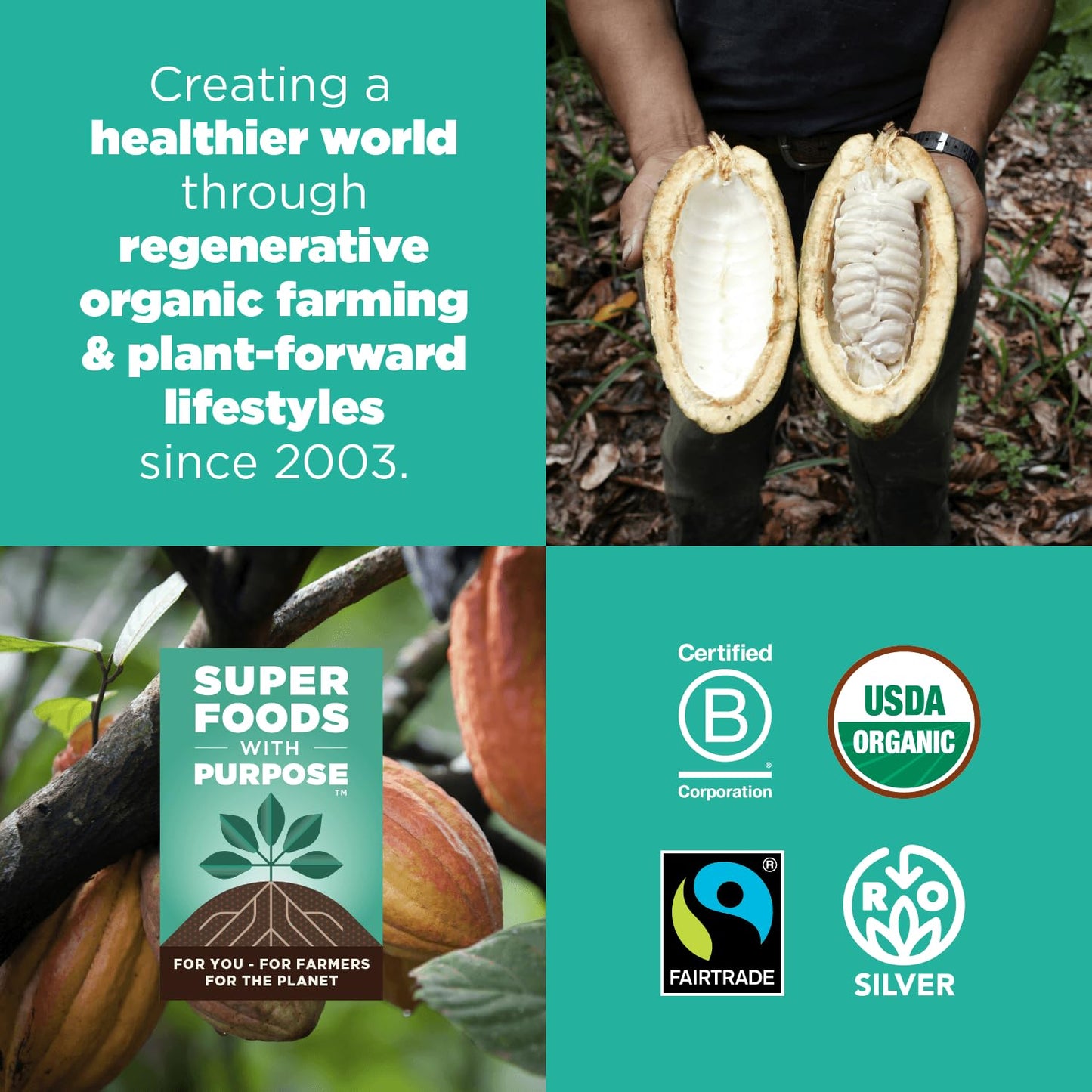 Navitas Organics Cacao Powder, 8Oz. Bag, 38 Servings — Regenerative Organic Certified, Non-Gmo, Fair Trade, Gluten-Free