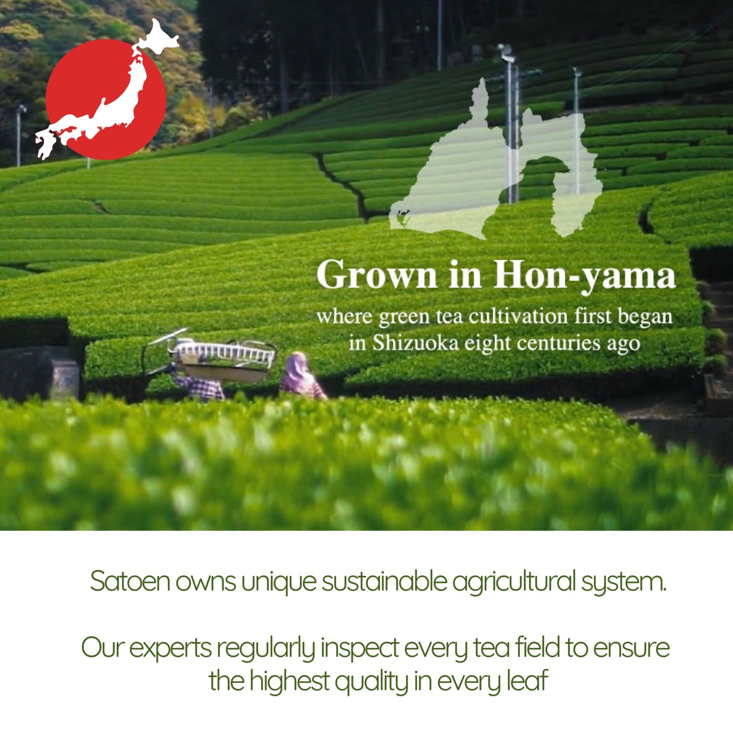 Satoen Authentic Japanese Ceremonial Grade Matcha Powder 3.52Oz (100G) - Matcha Ceremonial Grade Green Tea Powder From Spring Fi