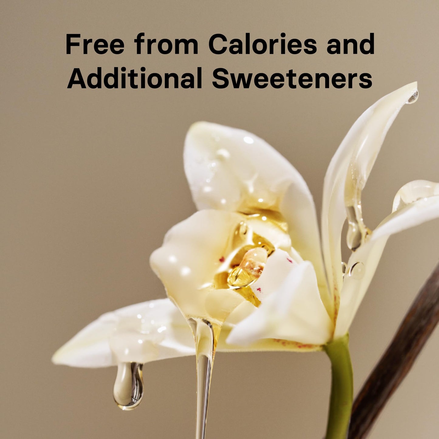 Osulloc Vanilla Honey Black Tea (20 Count, 1.05 Oz), Black Tea Filled With Sweet Flavor Of French Vanilla And Honey, Premium Ble