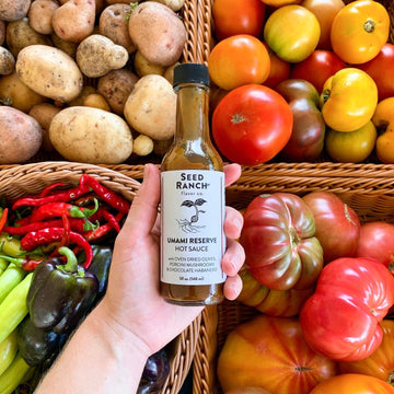 Seed Ranch Umami Reserve Hot Sauce - Spicy Flavor with Oven Dried Olives & Porcini Mushrooms - 5 Fl Oz - Vegan, Non-GMO, Gluten-Free