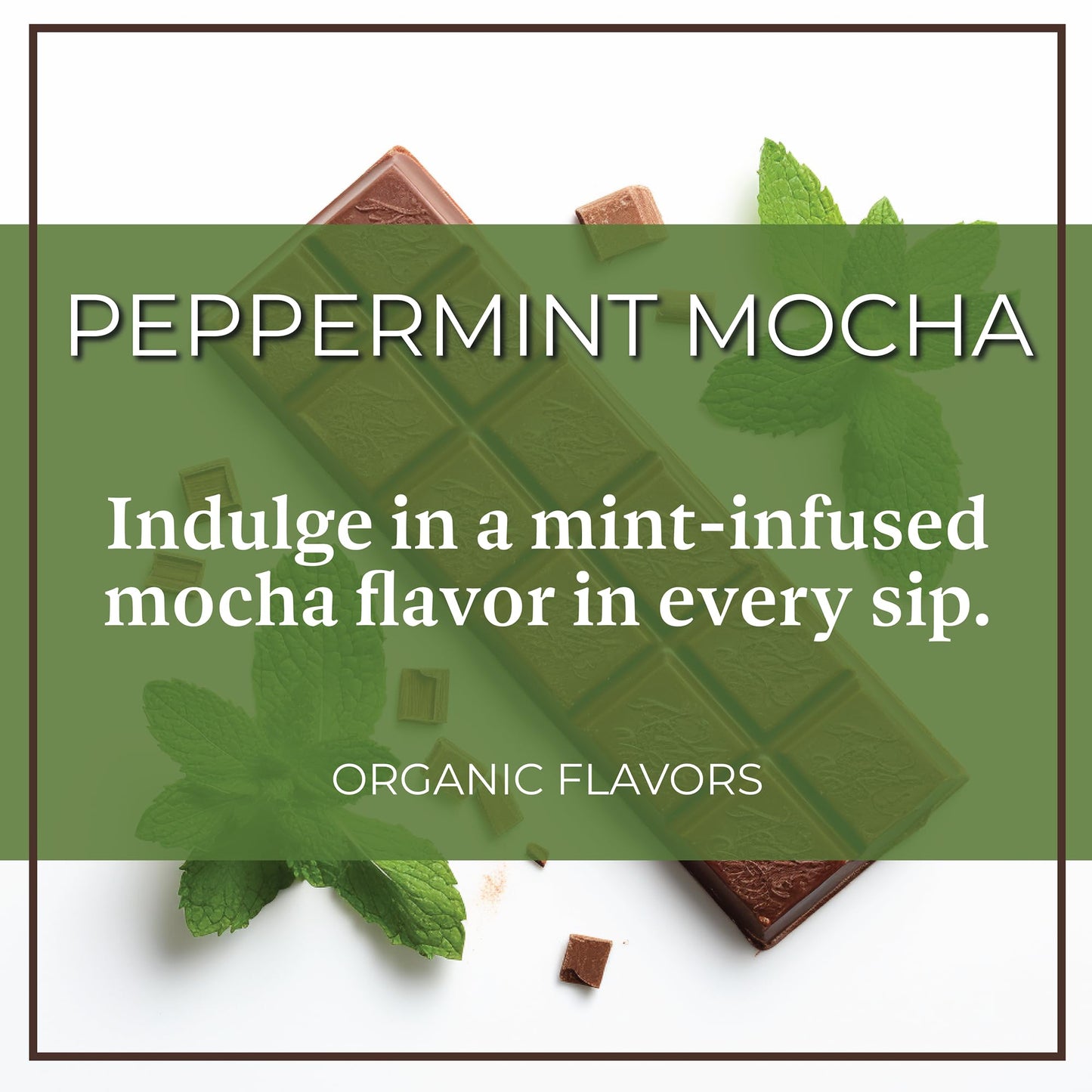 The Bean Organic Coffee Company Peppermint Mocha, Medium Roast, Ground Coffee, 16-Ounce Bag,Café Molido Tostado Organico