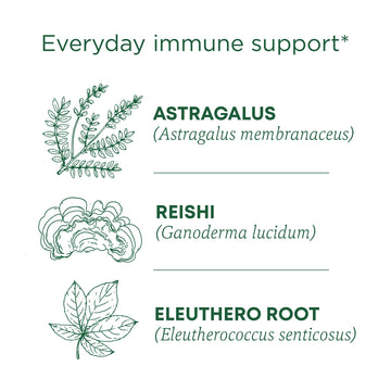 Traditional Medicinals Tea, Organic Stress Ease Immune With Adaptogens, Everyday Immune Support, Reishi Warming Spice, 16 Tea Ba