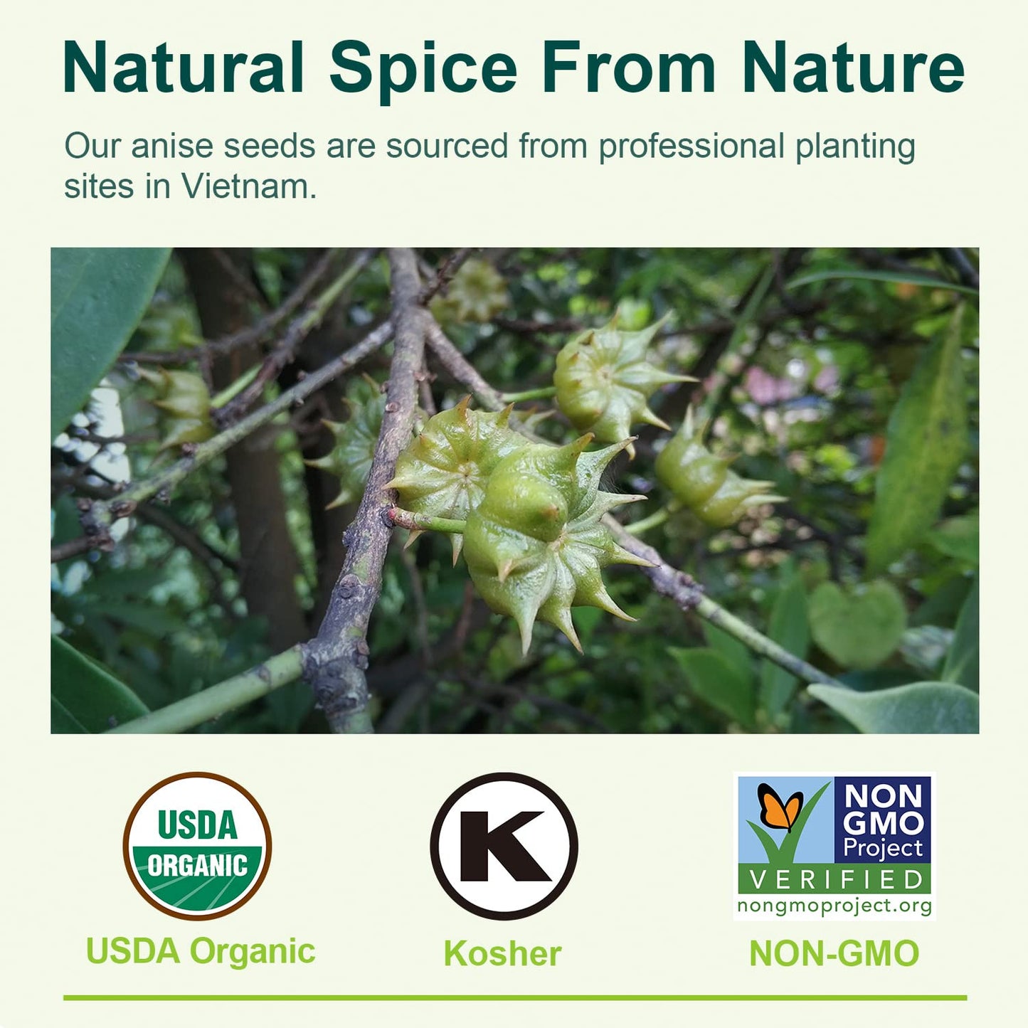 Soeos Organic Chinese Star Anise Powder 1.3 Oz (37G), Powder Chinese Star Anise, Dried Anise Star Spice, Star Anise Bulk, Anise Star, Non-Gmo Verified, Great For Baking And Tea, Anis Estrella., Brown