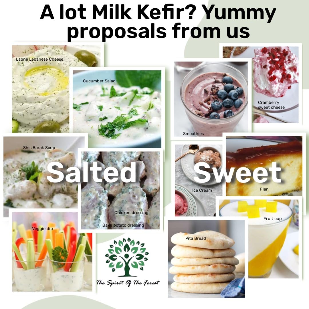 The Spirit Of The Forest Milk Kefir Grains Live Starter 0.16 Ounce Pack