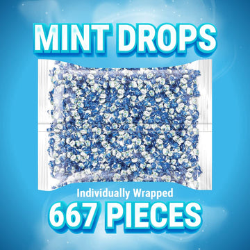 Colombina Delicate Mint Drops, Individually Wrapped Breath Saver Mini Mints, 2.2Lbs (Pack Of 1)