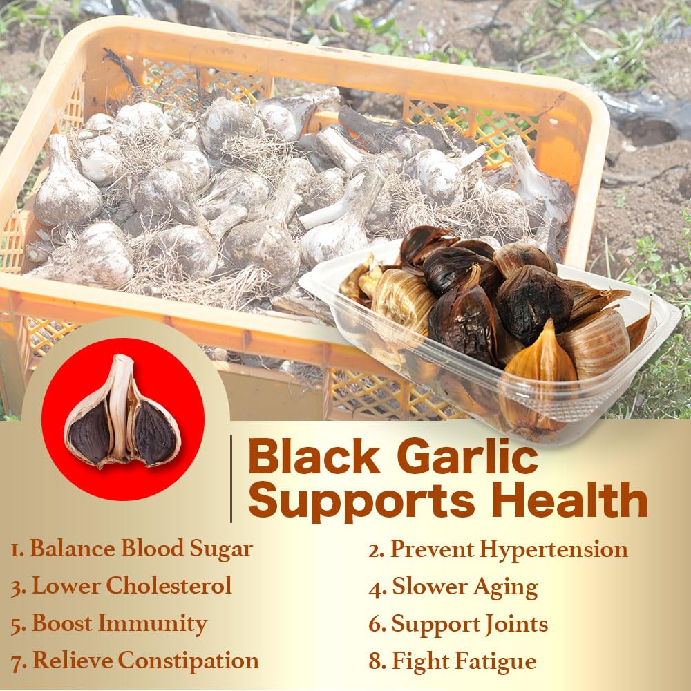 Black Garlic - Whole Japanese Ajo, Rich Sweetness Like Balsamic Or Prunes, Fermented Foods Superfood, Ready To Eat For Snack Or