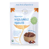 Natural Zing Raw OrganicWild Jungle Peanuts - 8 oz | Healthy Organic Heirloom Peanuts | Rare, Non-Hybridized Ecuadorian Variety