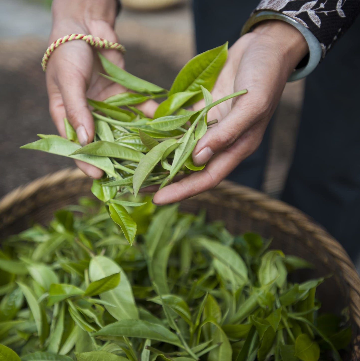 Palais Des Th  S - Th   Des Lords - Fine Premium Gourmet Vegan Earl Grey Black Tea With Bergamot - 20 Count Tea Bags Box