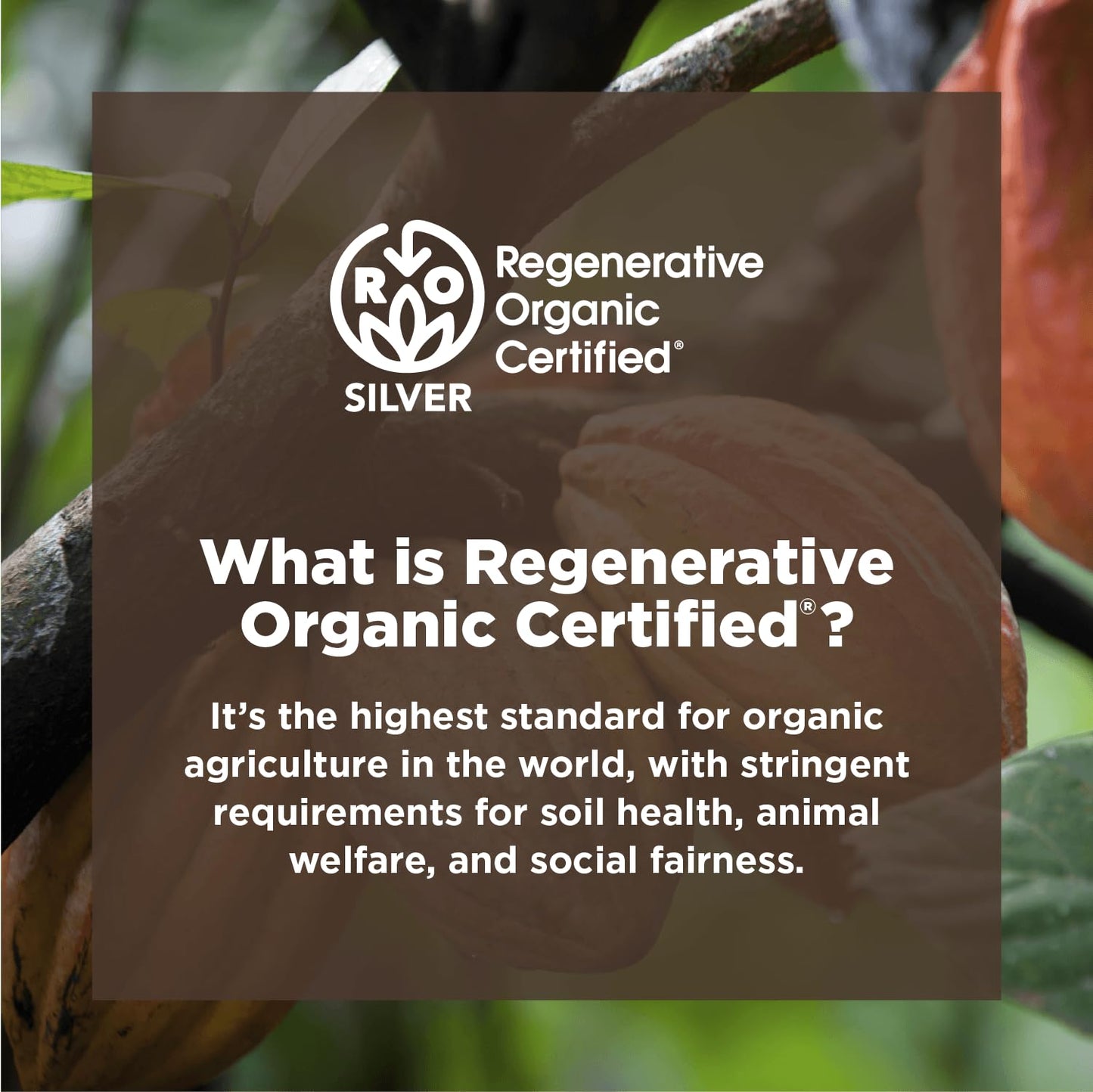 Navitas Organics Cacao Powder, Regenerative Organic Certified, Non-GMO, Fair Trade, Gluten-Free, 8oz. Bag, 15 Servings