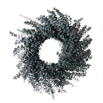 SuperMoss (23450) Preserved Eucalyptus Wreath, Green, Appx 18'' - 20''