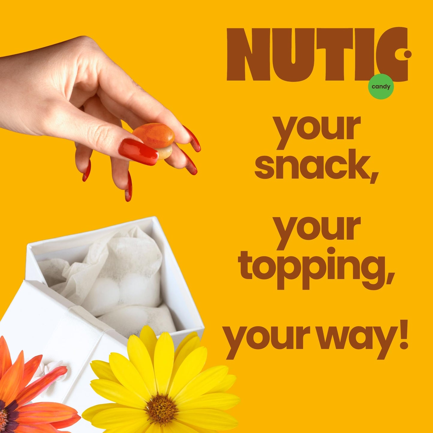 Nutic Pumpkin Spice Almonds - 1 Lb Premium Pumpkin-Flavored Almond Snacks In A Resealable Bag - Ideal For Seasonal Snacking Adve