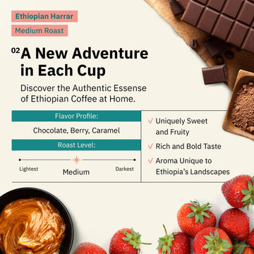 Organic Ethiopian Whole Bean Coffee Medium Roast - 12 Oz, Single Origin Ethiopian Harrar Coffee Beans, Specialty Coffee, Fair Tr