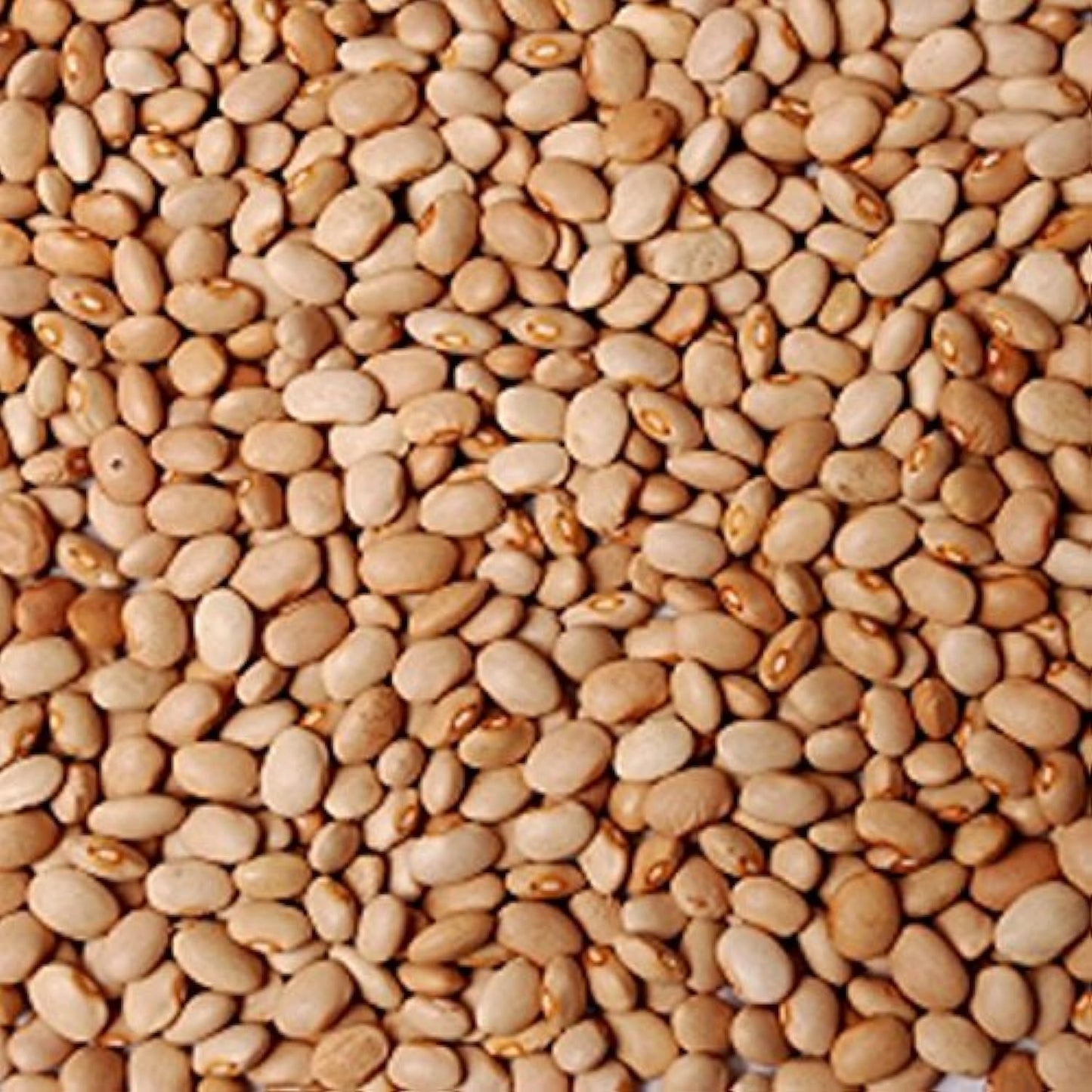 Kiki Foods Oloyin (Honey) Beans 3lb Pack