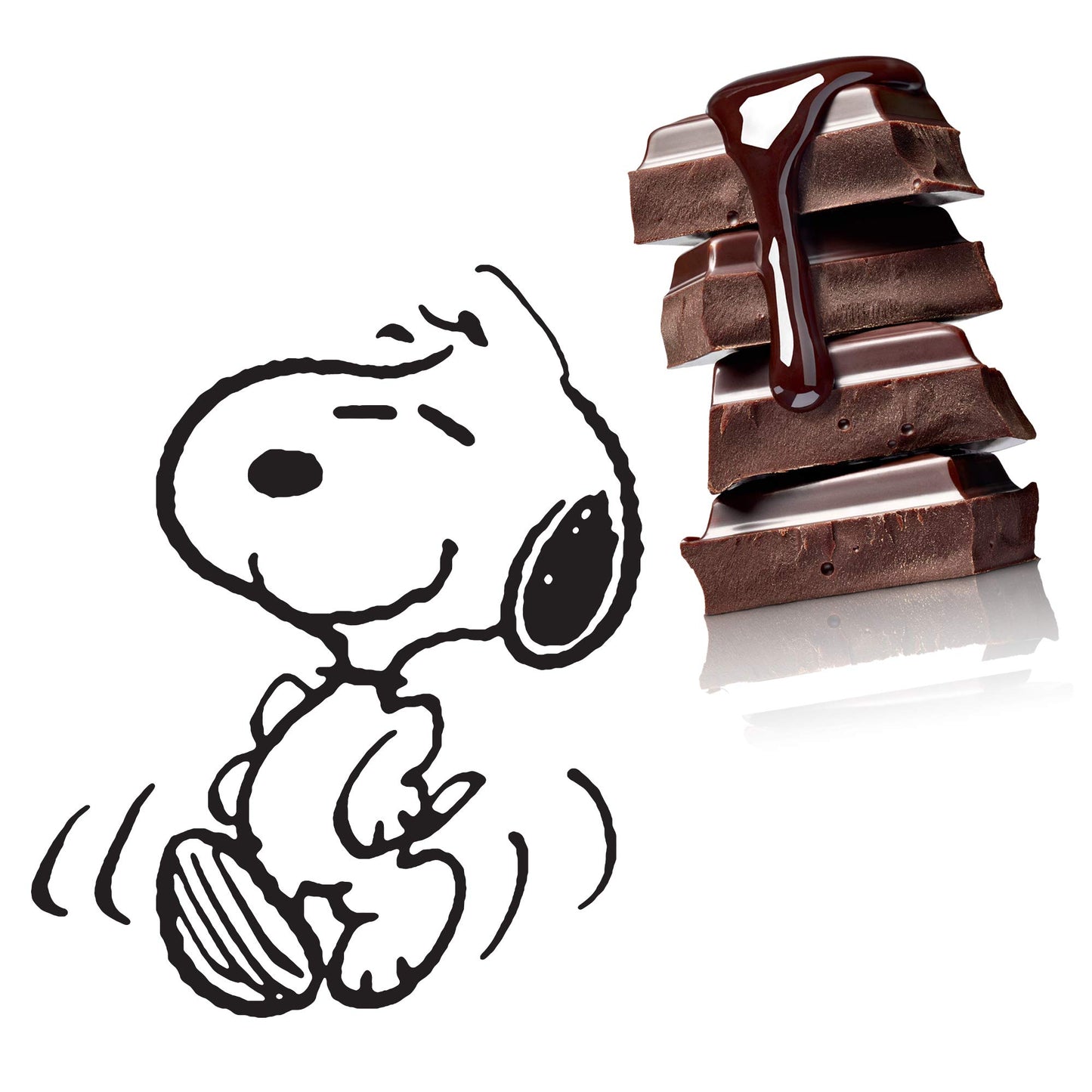Peanuts Christmas Chocolate Winter Variety Gift Pack, Snoopy Gourmet Bar Snack Set, Charlie Brown Gifts For Kids, 1.5Oz 5-Bar Rich Belgian Chocolate Holiday Box Set, Kosher Candy,